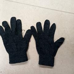 Handschoenen Grijs, zoals gemeld door Qbuzz GD Groningen Peizerweg met iLost