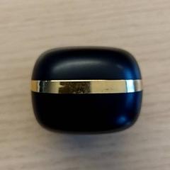 İLost kullanarak EBS OV Poeldijk tarafından bildirildiği gibi Earpoddoos Zwart goud