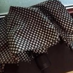 Umbrella, as reported by Apenheul using iLost