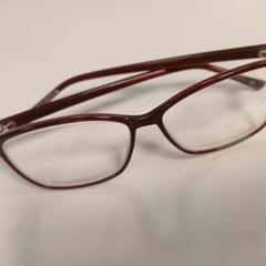 Ulleres graduades bruin montuur, segons ha informat HU Amersfoort mitjançant iLost