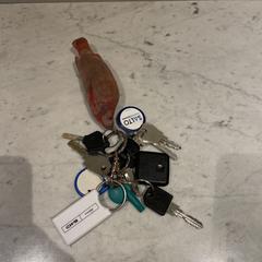 Sleutelbos an iLost gemeldet