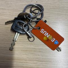 Sleutelbos، كما تم الإبلاغ عنه بواسطة Pathé Amsterdam Noord عبر iLost