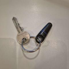 Chiave Zilver, come riportato da Gemeente Beekdaelen utilizzando iLost