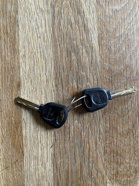 Keys 2 sleutels identiek, zwart,  met een ijzerdraadje aan elkaar