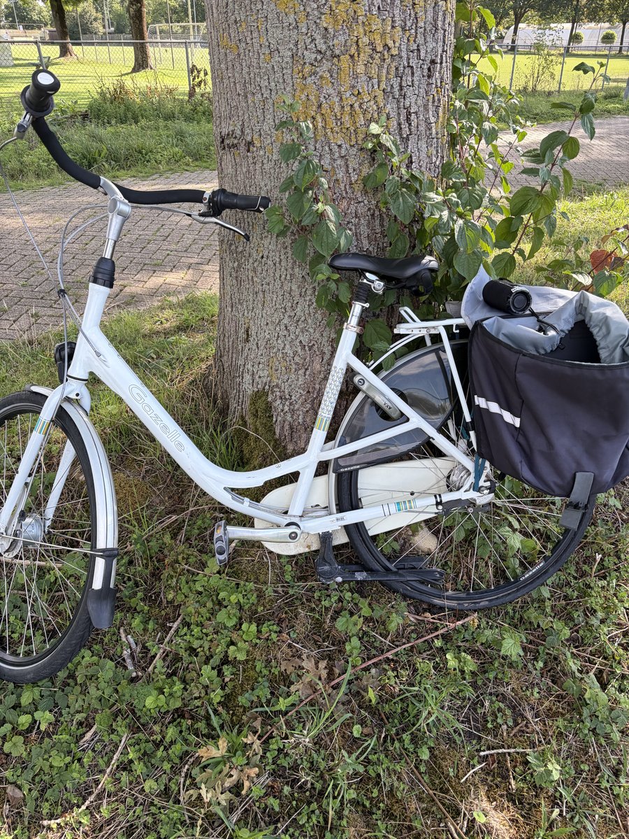 Fiets Wit