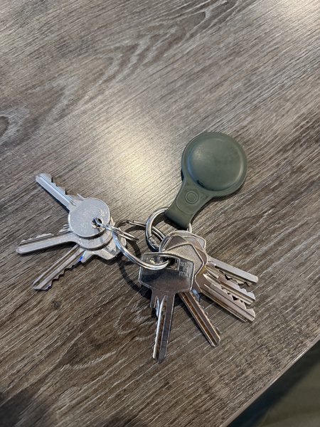 Keychain Apple Tag (groen) 