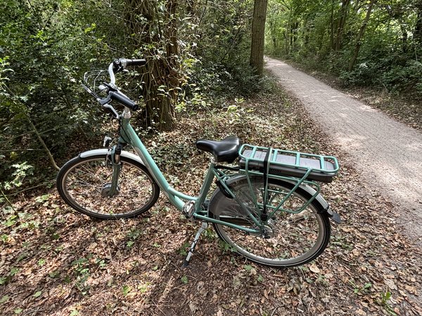 Bizikleta Groene Vogue elektronische 