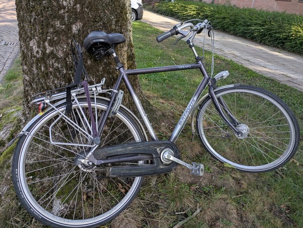 Bike grijze herenfiets met rugtas rek