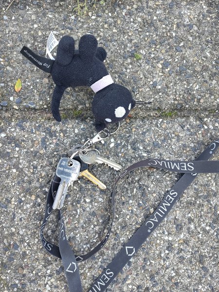 Keychain 5 sleutels aan zwarte band met siepie knuffel Hema
