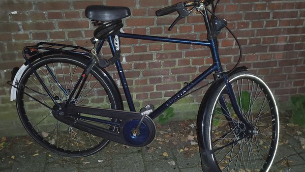 Bicicletta Blauw