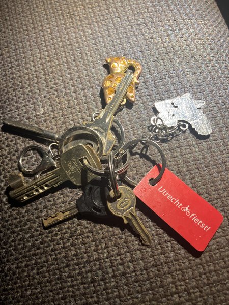 Keychain Sleutelbos met enkel hangertjes