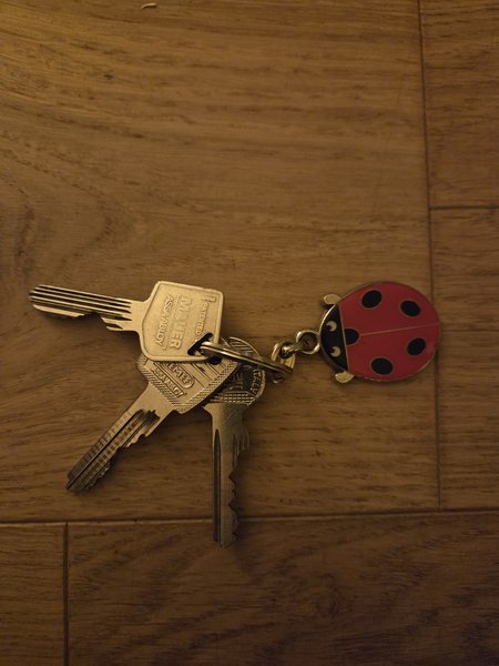 House key Met lieveheersbeestje sleutelhanger