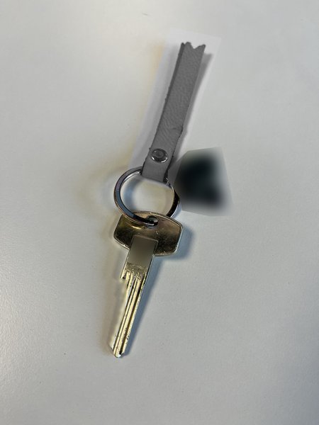 Key sleutel met metalen sleutelhanger en lederen lint