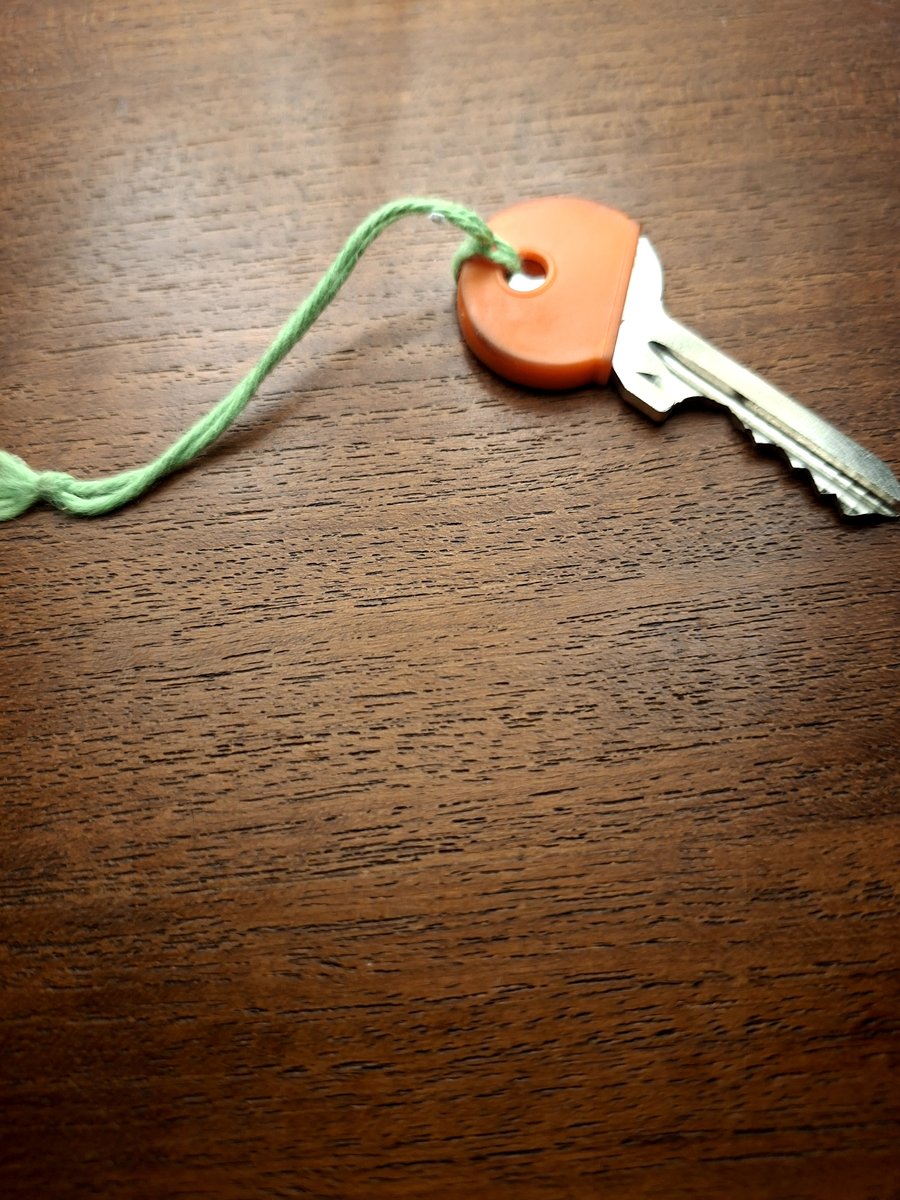 Key Zilverkleurig met rood hoesje en groen touwtje
