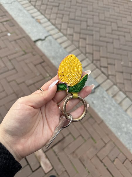 Key case with keys Sleutel met citroen sleutelhanger