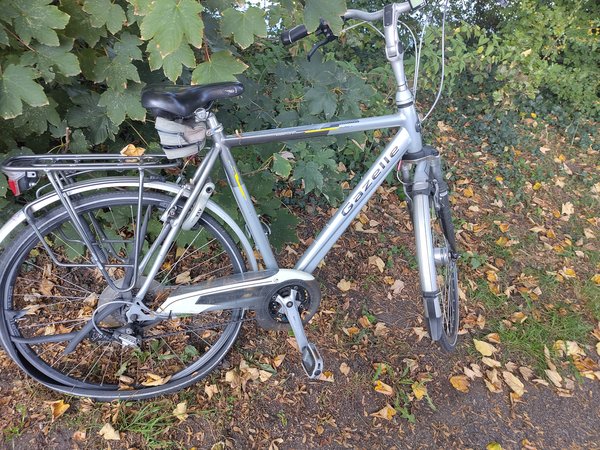 Bicicleta Grijs, Gazelle 
