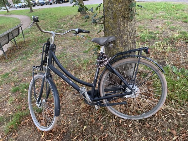 Fiets Zwart, dames