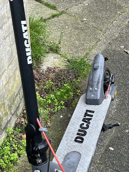 Scooter Zwart