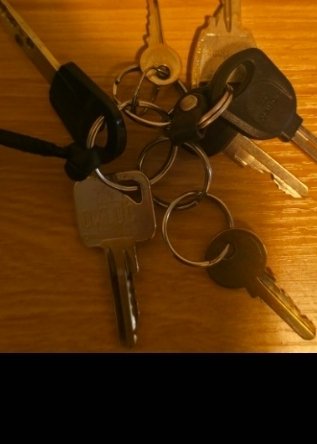Sleutelhoes met sleutels