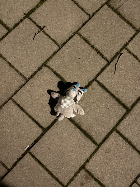 Knuffel Grijs, blauw en wit van kleur; blauwe oortjes en blauw neusje; wit borstje borstje