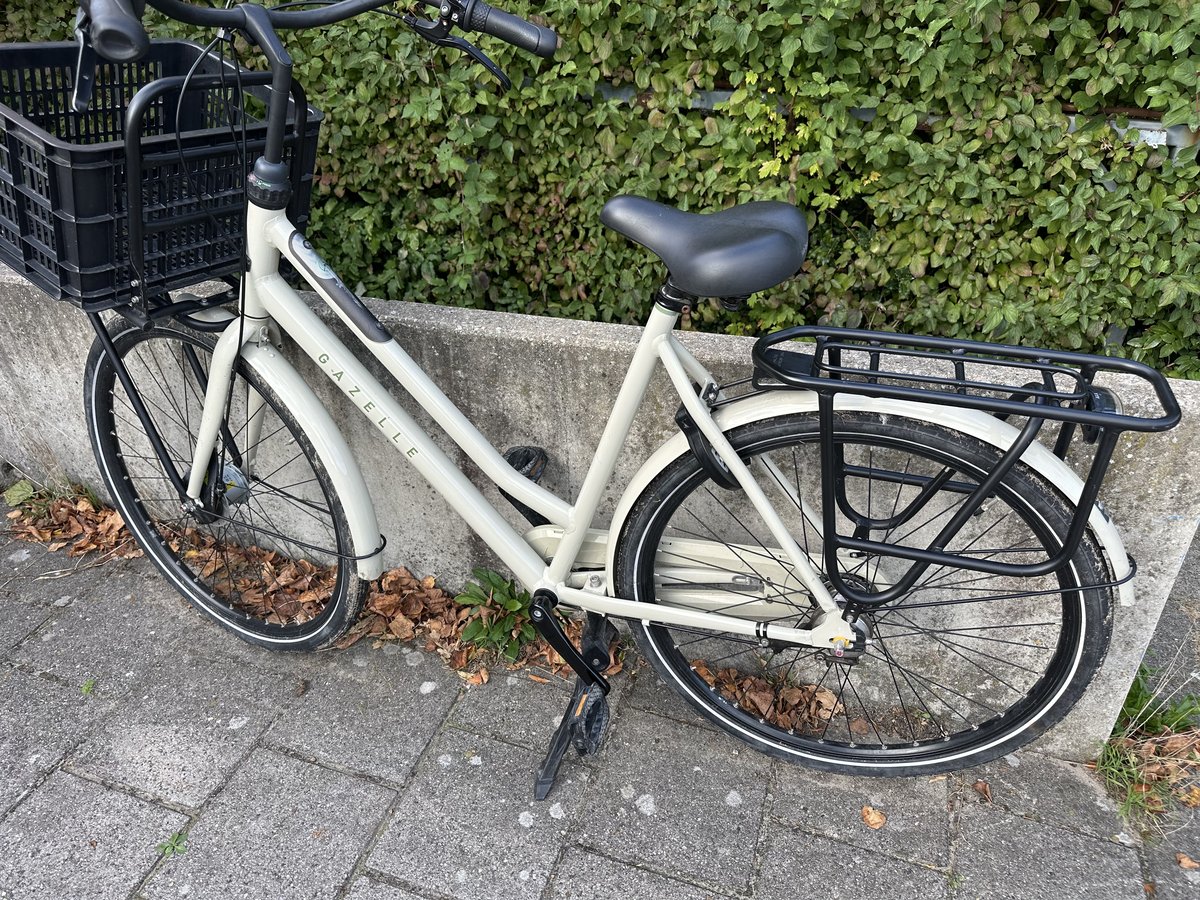 Bike Beige