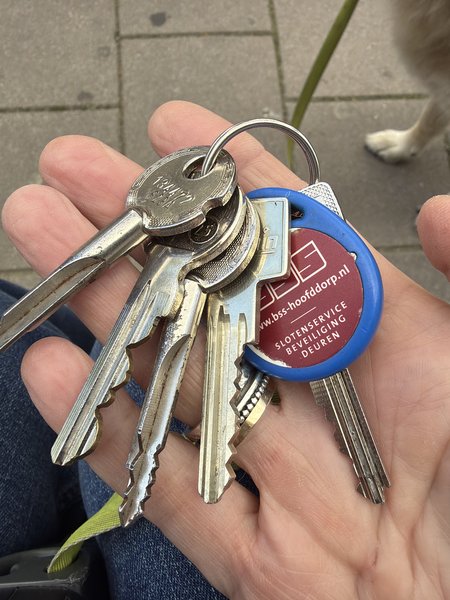 Keychain 5 sleutels met een blauwe tag