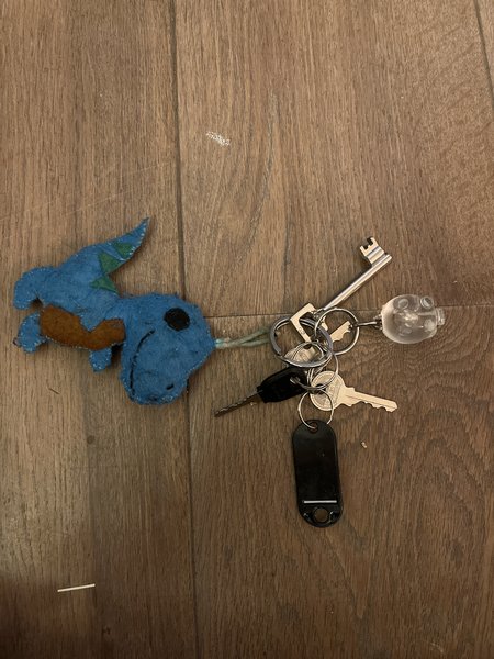 Keychain 4 sleutels met 3 extra hangers